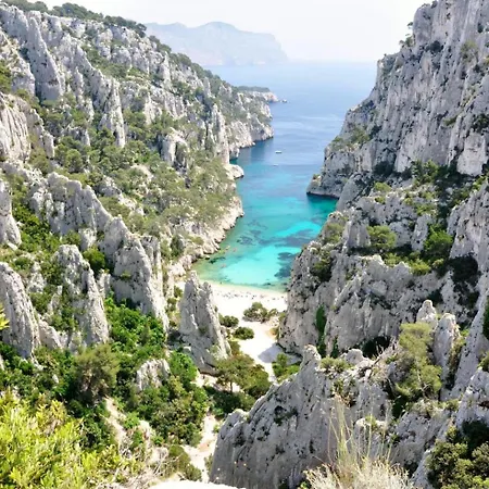Magnifique *