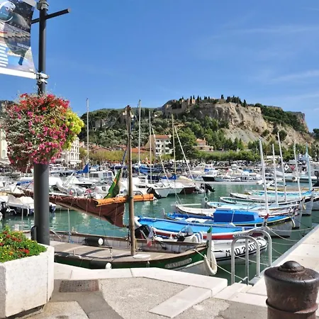 Magnifique * Cassis