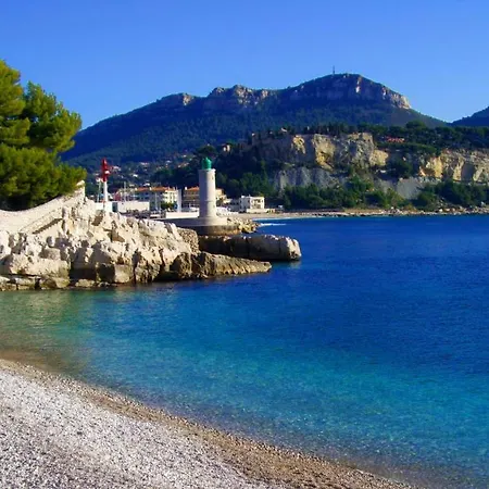 Magnifique Cassis