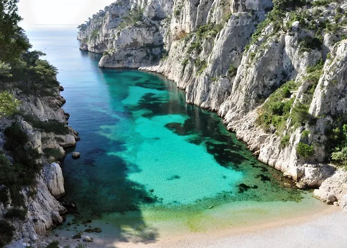 Magnifique Cassis