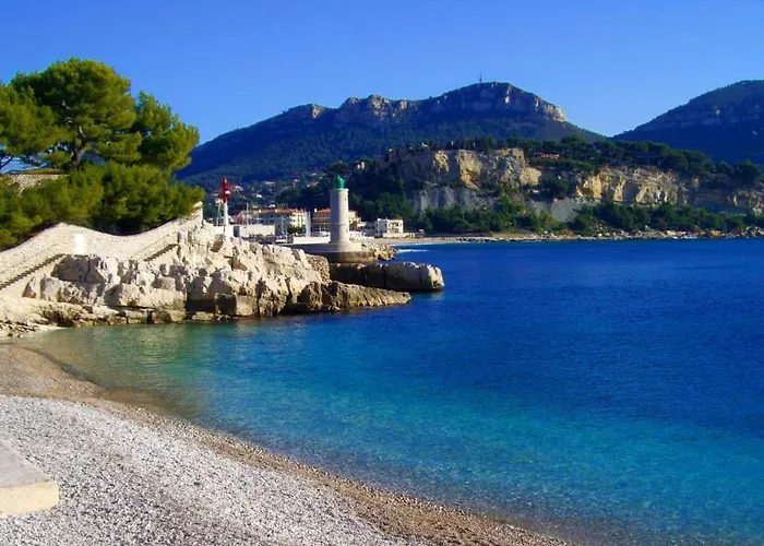 Magnifique Cassis