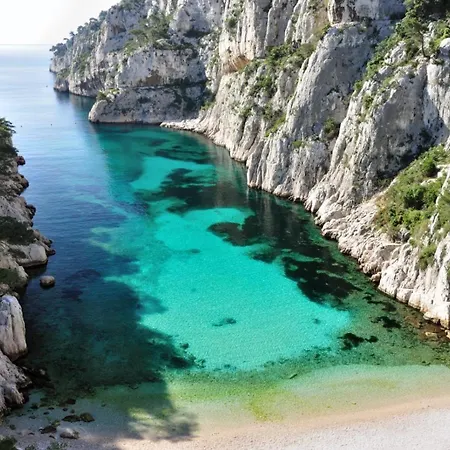 Magnifique Cassis